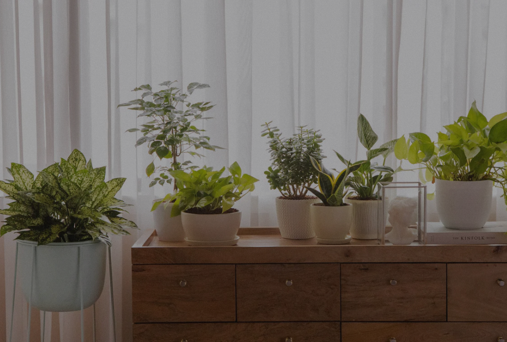 Untitled design - 2025-12-08T183734.730